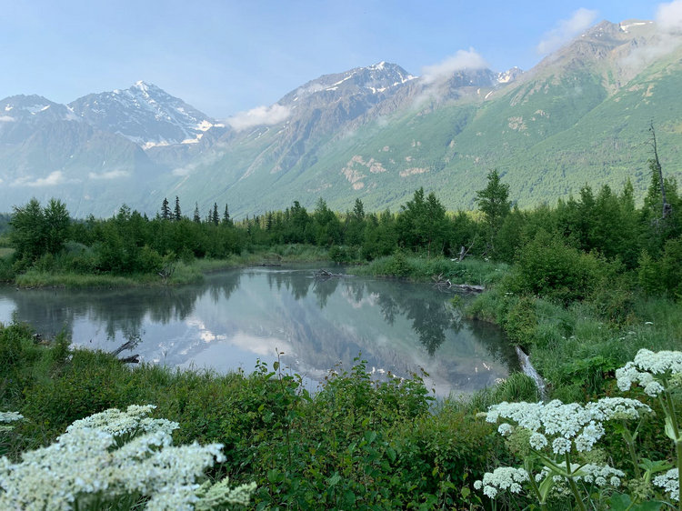 余氯 余氯