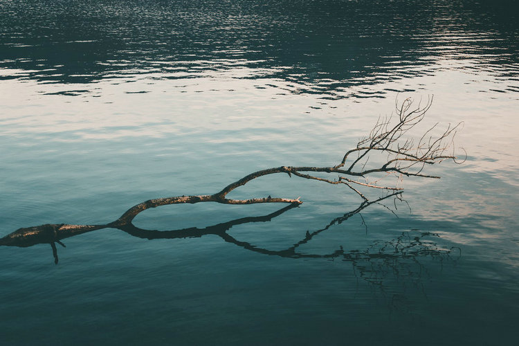 浊度与悬浮物