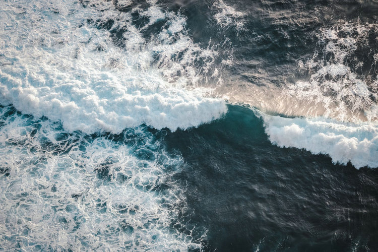 便携PH测试仪 便携PH测试仪